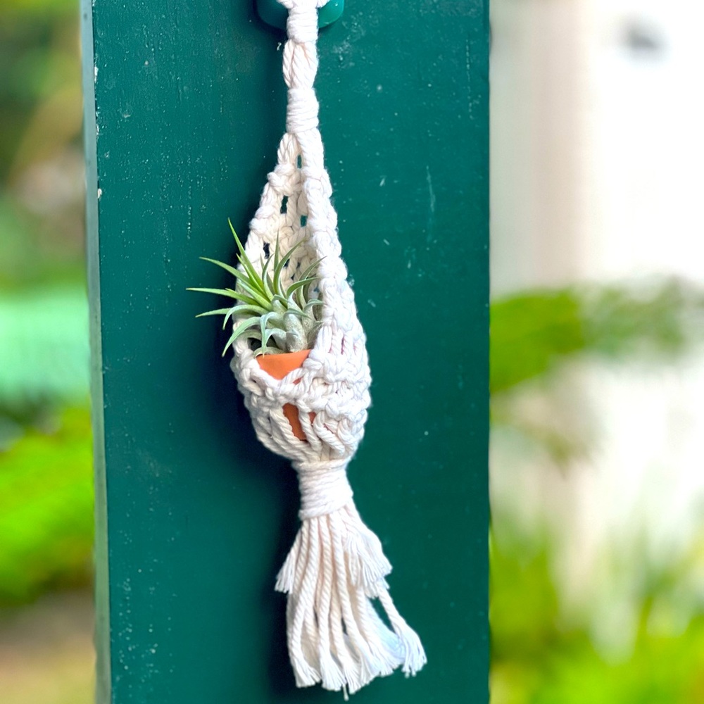 Mini Macrame Plant Hanger with Terra Cotta Pot